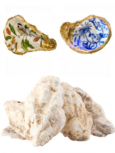 Pcs inch large oyster - large,