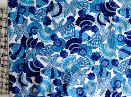 Blue sea shells white - sea,