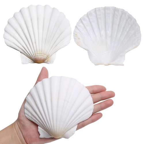 Pcs inch large white - 45,