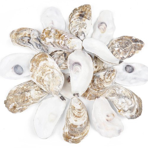 Pcs inch large natural - inch,